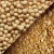 Import High protein non gmo soybean meal,Bone Meal ,Wheat Bran and Cotton Seed Meal from Germany