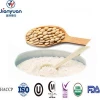 High Purity Natural Plant Protein Powder