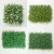 Import High quality artificial green grass wall/fence for decoration from China