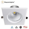 High Quality Custom Led Grill Light Commercial Lighting 24W COB LED Downlight