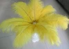 high quality dyed for sale wholesale artificial ostrich 10cmx14cm Curly Pads feather
