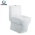 Import High Quality Elongated One Piece Toilet Water Closet With Slow Down Seat Cover from China