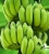 Import High Quality Fresh Cavendish Banana / Fresh Banana from China