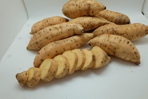 High Quality Fresh Sweet Potatoes from Farm in Indonesia