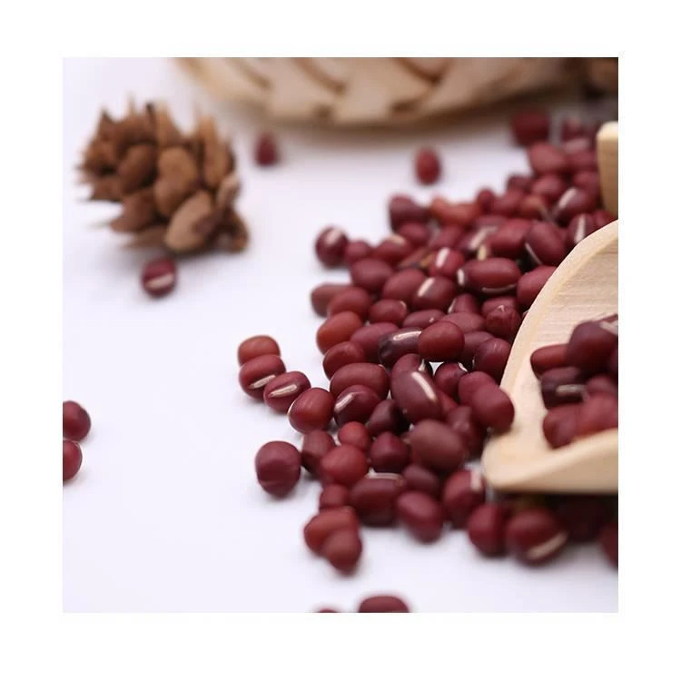 High Quality Organic Eye Small Red Round Beans