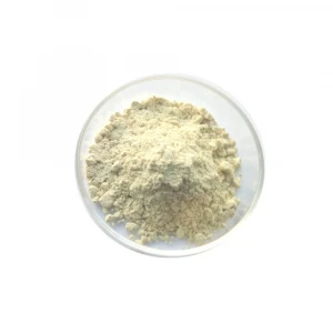 High Quality yeast extract industrial fermentation