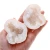 Import Home decoration crystal craft, Natural crystal geode, raw rock specimen from China