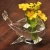 Home Garden Bar Whale Glass Vase Decor Modern Flower Vase for Flowers