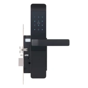 Home Smart Digital Code Electric Tt Lock APP Card Password Mechanical Key Smart Lock