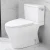 Import Hot Product Bathroom Self Cleaning Design Ideal Standard inodoro Toilet from China