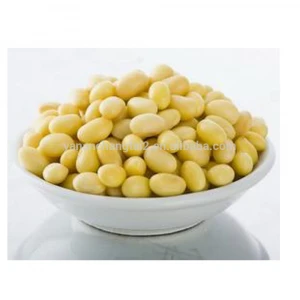 Hot sale high quality food grade emulsifying agent soy lecithin