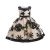 Import hot sale princess  baby clothing dress  new style baby girls summer flower party dress from China