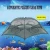 Import Hot Sale6 Hole Folded Fish Net Portable Automatic Fishing Shrimp Trap Fishing Net For the Capture Of The Eel Crab Minnow Lobster from China