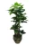 Import Hot selling artificial plants and trees bonsai tree artificial plants wholesale indoor ornamental plants from China