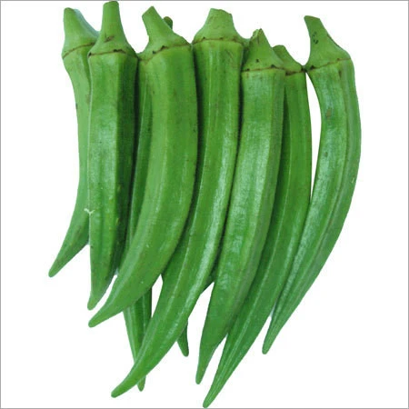 hot selling Fresh Vegetables Okra, bhindi from (Naqshbandi Enterprises) Pakistan