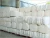 Import Indian Raw Cotton Shankar 6 from India