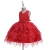 Infant Baby Girl Dress Lace Embroidery Baptism Dresses for Girls gifts