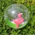 Import Inflatable Clear PVC Fruit 3D Beach Ball  With Custom Logo Printing from China