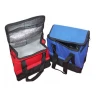 Insulated Customized School Lunch Thermal Frozen Food Delivery Cooler Bag