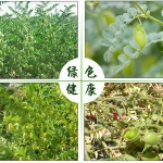 kabuli chickpeas for sale 2018 crop