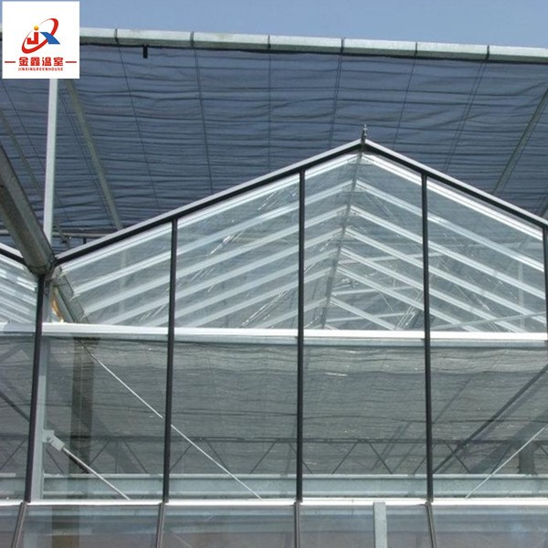 Large glass multi-span greenhouse