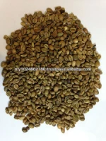 Liberica Coffee Bean