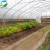Import Low cost prefabricated greenhouse plastic film green house from China