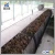 Import made in China 3-5TPH palm fruit bunch kernel oil production plant building factory price from China