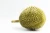 Import Malaysia Whole Frozen Durian with Seed for Sale from Malaysia