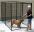 Import mesh dog fence quail cages for sale large dog kennel wholesale from China