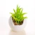Import Mini artificial plants cactus succulent from China