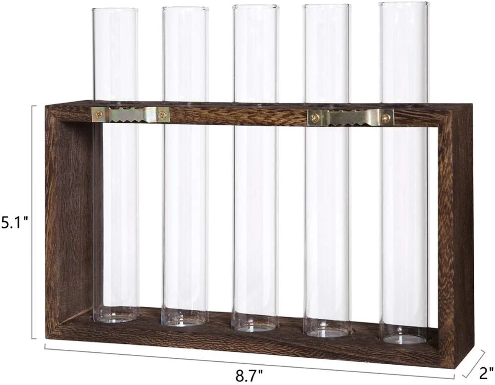 Modern Flower Bud Vase in Burlywood Stand Rack with 5 Test Tube