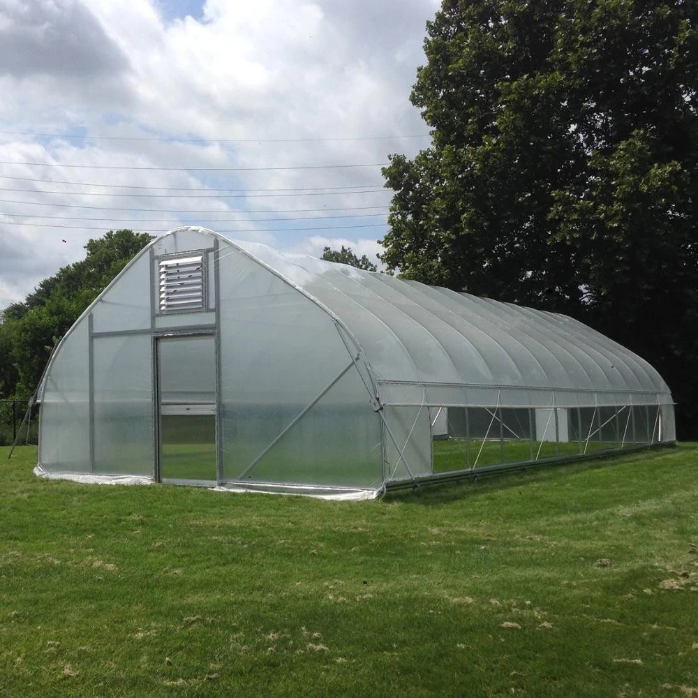 Multi Span  Vegetables Green house agricultural