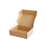 N*250*50mm Custom Logo Printing Corrugated Cardboard Packaging Shipping Mail Paper Box
