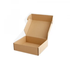 N*250*50mm Custom Logo Printing Corrugated Cardboard Packaging Shipping Mail Paper Box