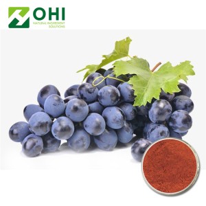 Natural 95%OPC grapeseed extract/grape seed extract/grape seed extract powder