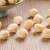 Import Natural Taste Quality Blanched Hazelnut/Hazel Nut at Low Price from China