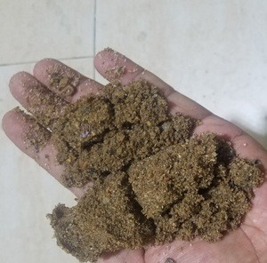 Nature River Sand From Timor-Leste