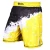 Import New Arrival Custom High Quality MMA Shorts from Pakistan