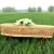 Import New Design Classic China Funeral Wicker Coffin Casket Bed from China