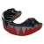 Import New Style Professional Mouth Guard With Custom Packing from Pakistan