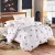 Import New Winter Printed Polyester Filling Stitching Warm Comforter from China