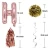Import Nicro New Product Rose Gold Bridal Shower Decoration Set Bachelorette Party Supplies from China