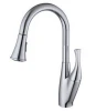 North American Single Handle Pull-Down Kitchen Faucet with 2-Function Sprayhead VPF01B