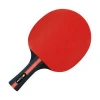 OEM Accepted Portable Pingpong Balls Set Wood Paddles 3-Star Table Tennis Bat Set With Retractable Net And Case