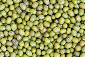 Organic cultivated Green Mung Beans/Vigna Beans price