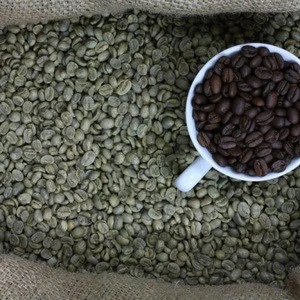 Organic Robusta Coffee/ Organic Arabica Green Coffee Beans
