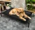 Import Pet Camp Bed Dog Kennel Four Seasons Small Large Golden Hair Teddy Mat Removable and Washable Moisture-proof Pet Supplies from China