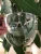 Import Plastic Anti-fog Eye Protection Face Shield and safety face_shield protective faceshield from China