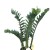 Import Plastic Small Bonsai Tree Zamioculca Artificial Decorative Money Leaf Plants from China
